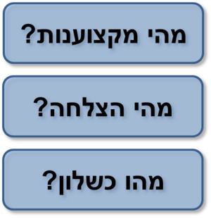 מקצוענות-כשלון-הצלחה.png