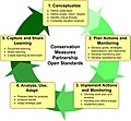 CMP Cycle - 2008-02-20.jpg