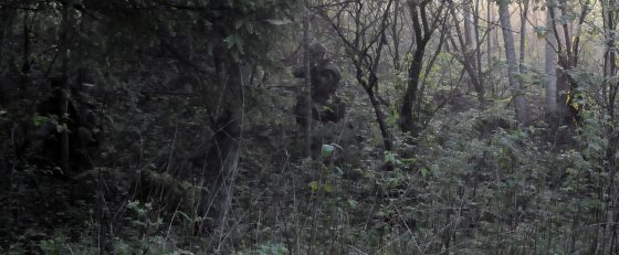 מהי אסטרטגיה ומה איננה